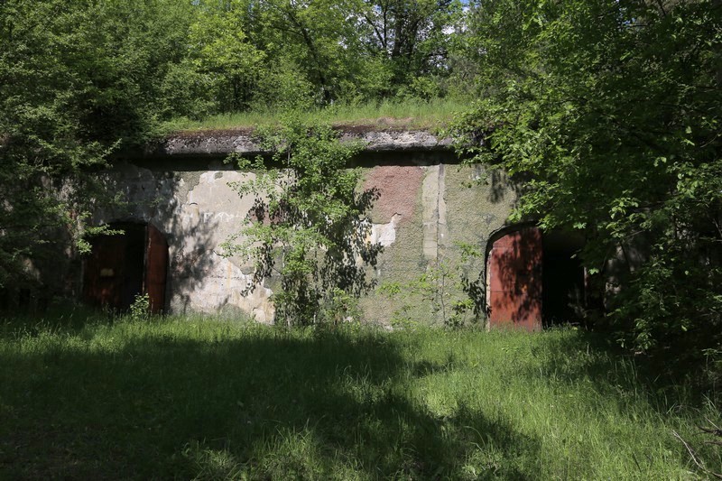 IMG 2837