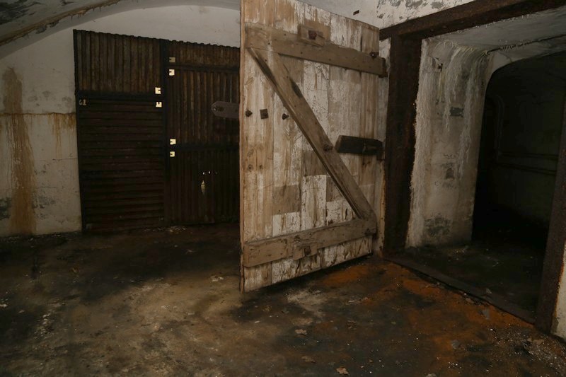 IMG 2842