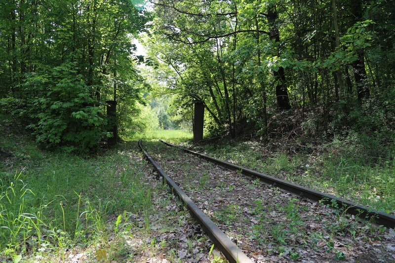 IMG 2856