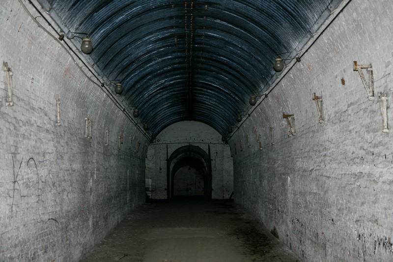 IMG 4555
