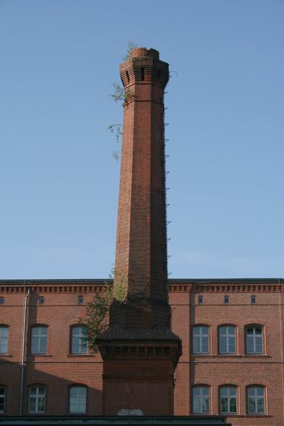 Frankfurt 24