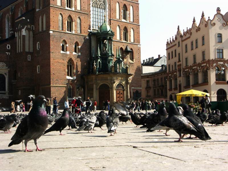 Krakow 58