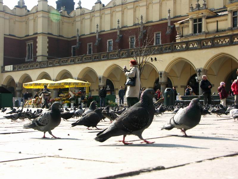Krakow 60