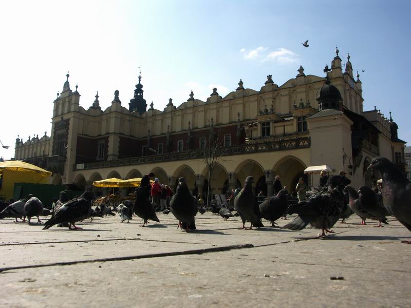 Krakow 62