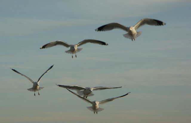 Swinoujscie 28