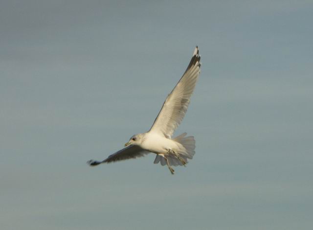 Swinoujscie 30