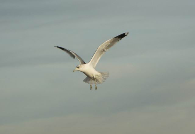 Swinoujscie 31