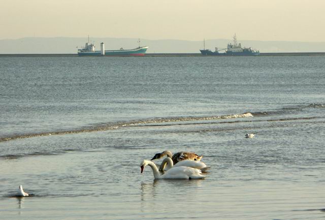 Swinoujscie 34