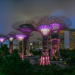 Singapur 10