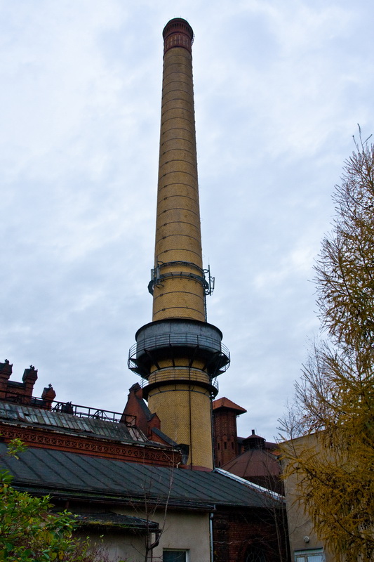 IMG 1767