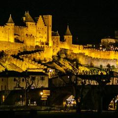 Carcassonne pano 27