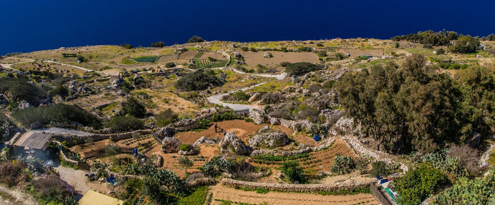 Dingli 1