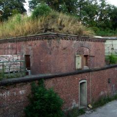 Fort VII 39