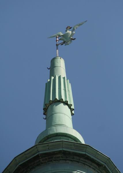 IMG 3569