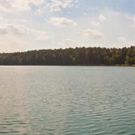 Drawa_1