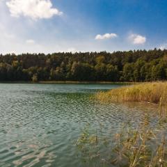 IMG_0076