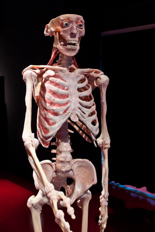 IMG 1832
