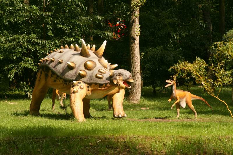 EUOPLOCEFAL 1