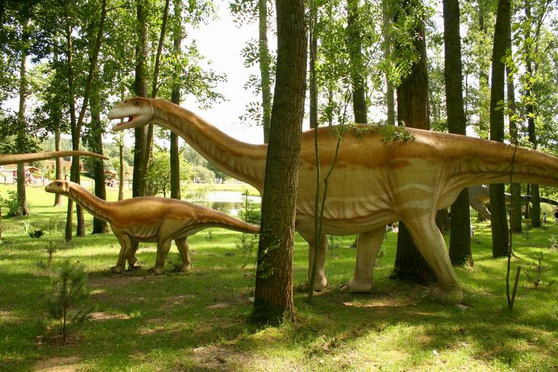 WULKANODON 4