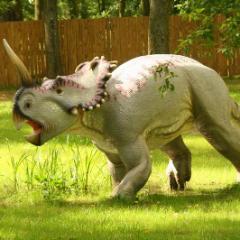 CENTROZAUR_2.JPG