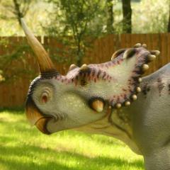 CENTROZAUR_3.JPG