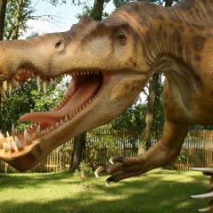 SPINOZAUR_4.JPG