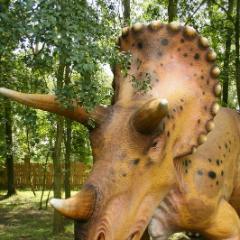 TRICERATOPS_2.JPG