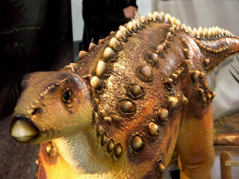 dino 14
