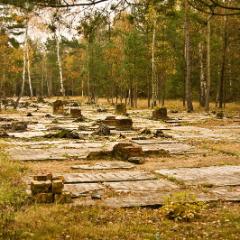 Żagań Stalag Luft 3