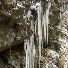 Sople w Rokitnicach