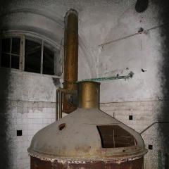 Kobylepole 066