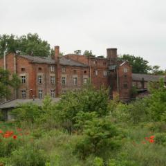 Kobylepole 070
