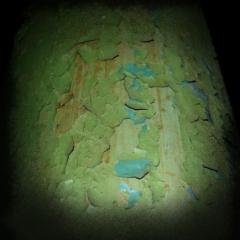 Kobylepole 097