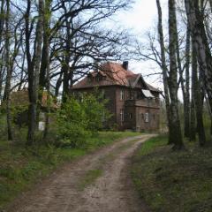 Kobylepole 099