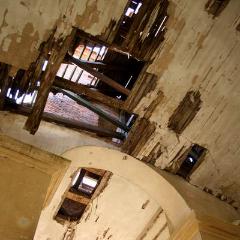 IMG 9227