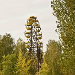 IMG 8450