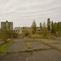 IMG 8504