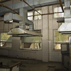 IMG 8517