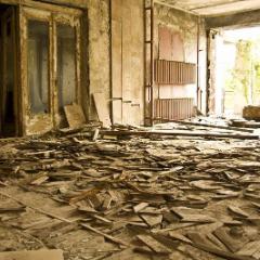 IMG 8521