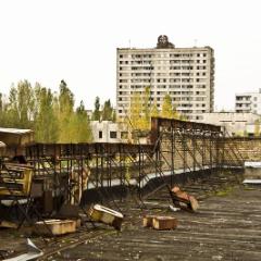 IMG 8526