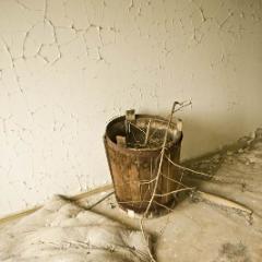 IMG 8528