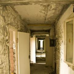 IMG 8533