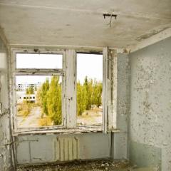 IMG 8542