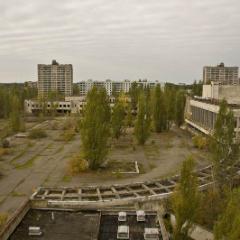 IMG 8557