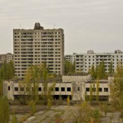 IMG 8565