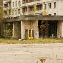 IMG 8616