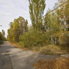 IMG 8790