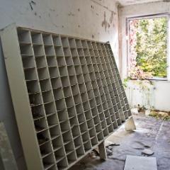 IMG 8828