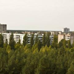 IMG 8841
