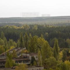 IMG 8858